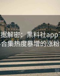 0408. 数据解密：黑料社app下载官网爆料合集热度暴增的涨粉逻辑