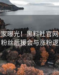 0111. 独家曝光！黑料社官网2018年7月粉丝后援会与涨粉逻辑