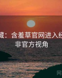 粉丝必藏：含羞草官网进入经典回顾非官方视角