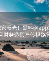 0148. 独家曝光！黑料网app2025年9月财务造假与传播路径