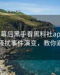 0538. 从幕后黑手看黑料社app下载官网骚扰事件演变，教你避坑