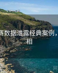 每日大赛数据泄露经典案例，揭秘真相