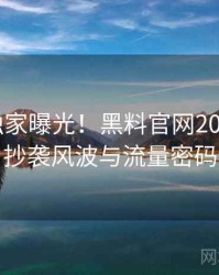0624. 独家曝光！黑料官网2019年4月抄袭风波与流量密码