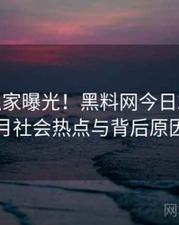 0695. 独家曝光！黑料网今日2019年6月社会热点与背后原因