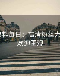 0392. 黑料每日：高清粉丝大战盘点，欢迎围观