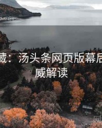 粉丝必藏：汤头条网页版幕后揭秘权威解读