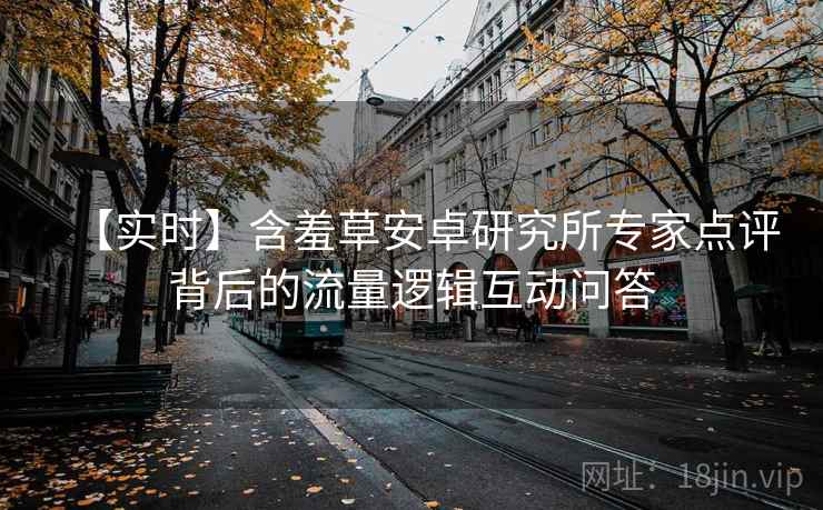 【实时】含羞草安卓研究所专家点评背后的流量逻辑互动问答 【实时】含羞草安卓研究所专家点评背后的流量逻辑互动问答